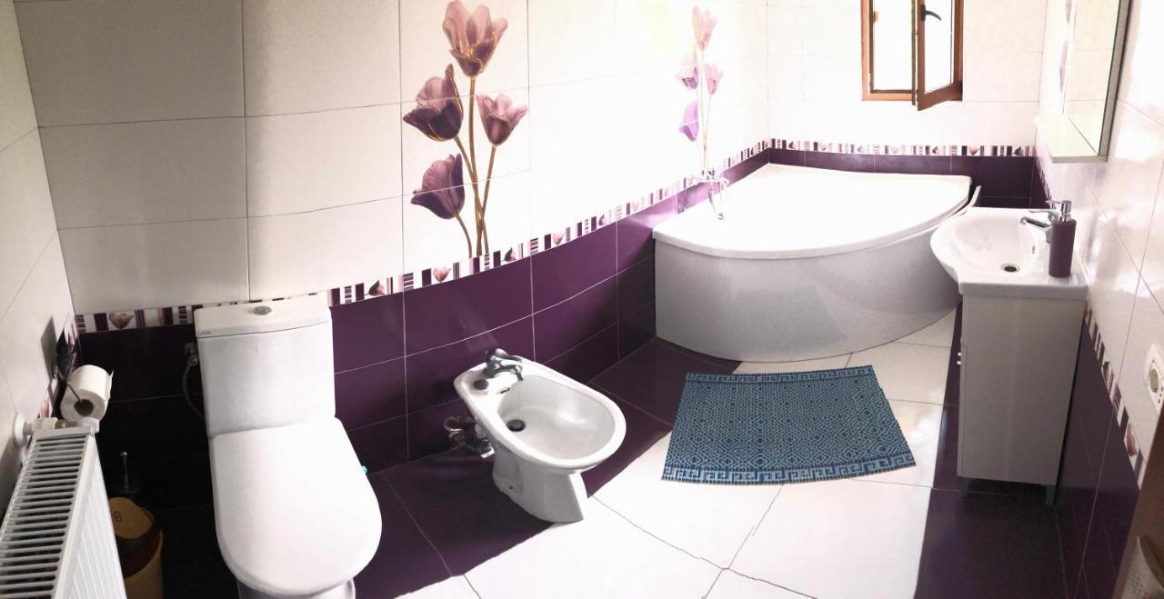 Casa Ardeleana Ucea Ξενοδοχείο Ucea de Sus Εξωτερικό φωτογραφία