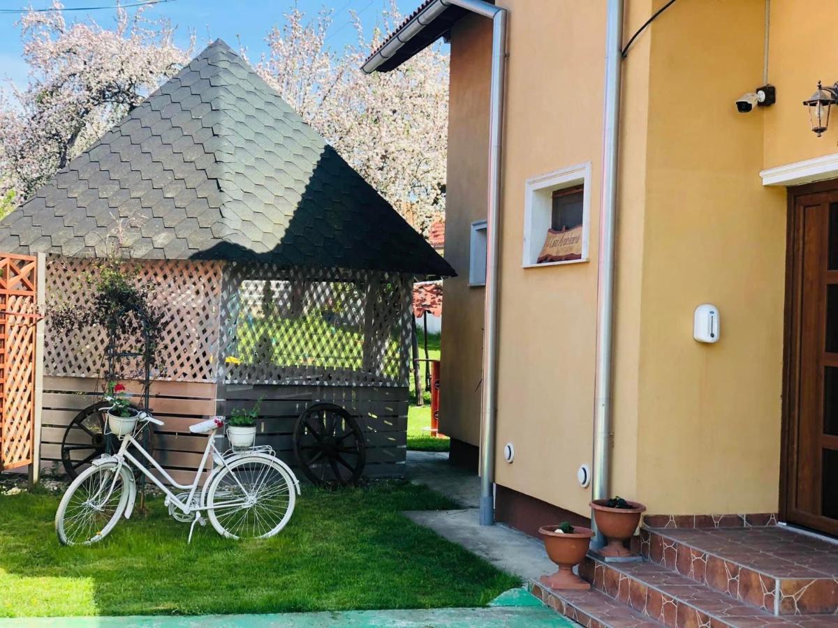 Casa Ardeleana Ucea Ξενοδοχείο Ucea de Sus Εξωτερικό φωτογραφία